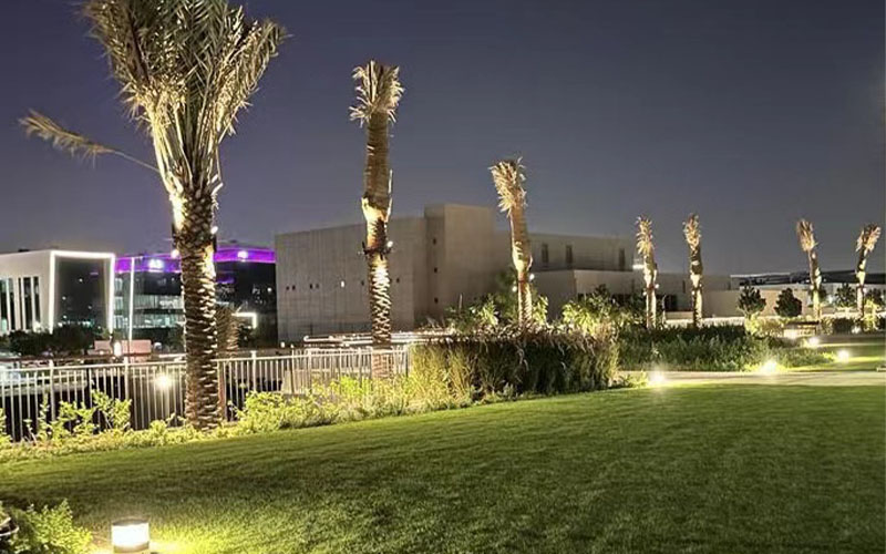Dubai Silicon Oasis